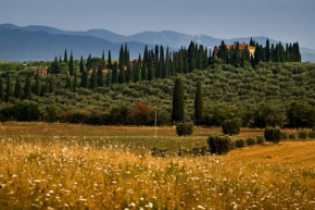 Tenuta di Poggio Cavallo Istia D'ombrone